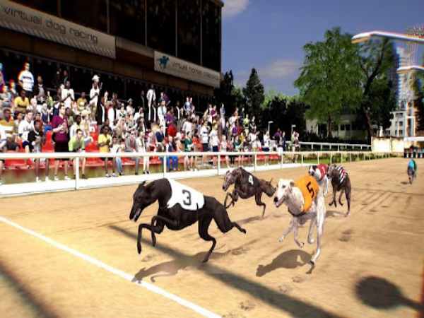 Hình ảnh trò chơi đua chó ảo