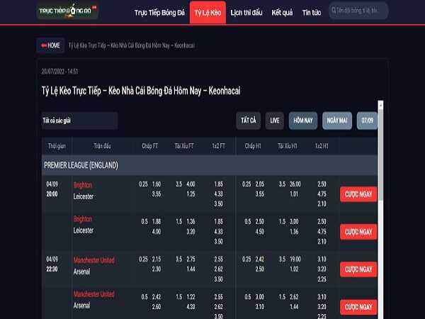 Các loại kèo cược tại tructiepbongda.news