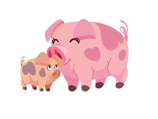 Con số trúng thưởng tuổi Hợi ngày 13/11/2024 th?4 hôm nay