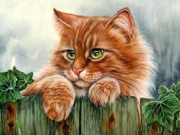 T?vi tuổi Mão tuần 26/5 - 1/6